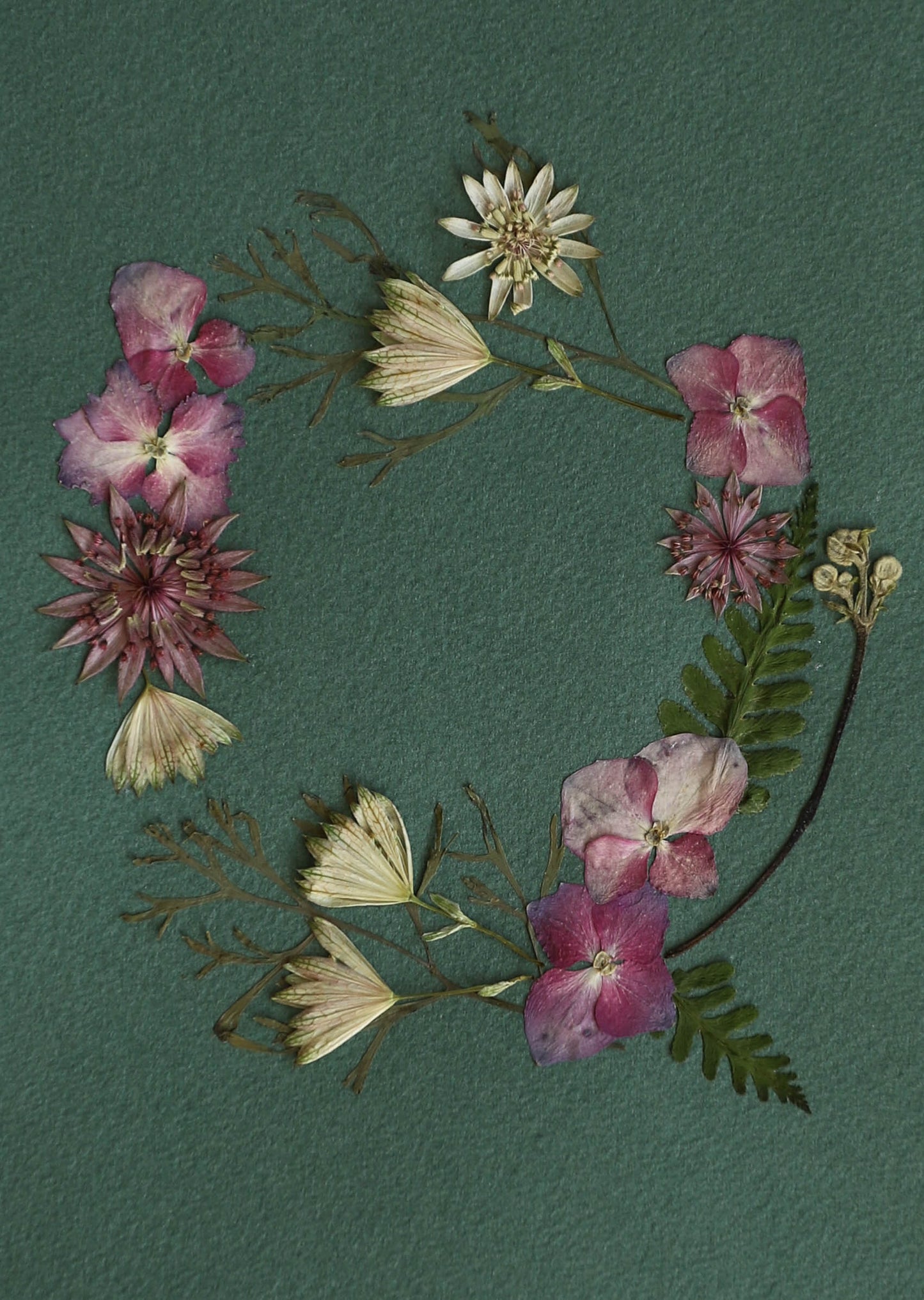 Cadre de fleurs pressées "couronne"