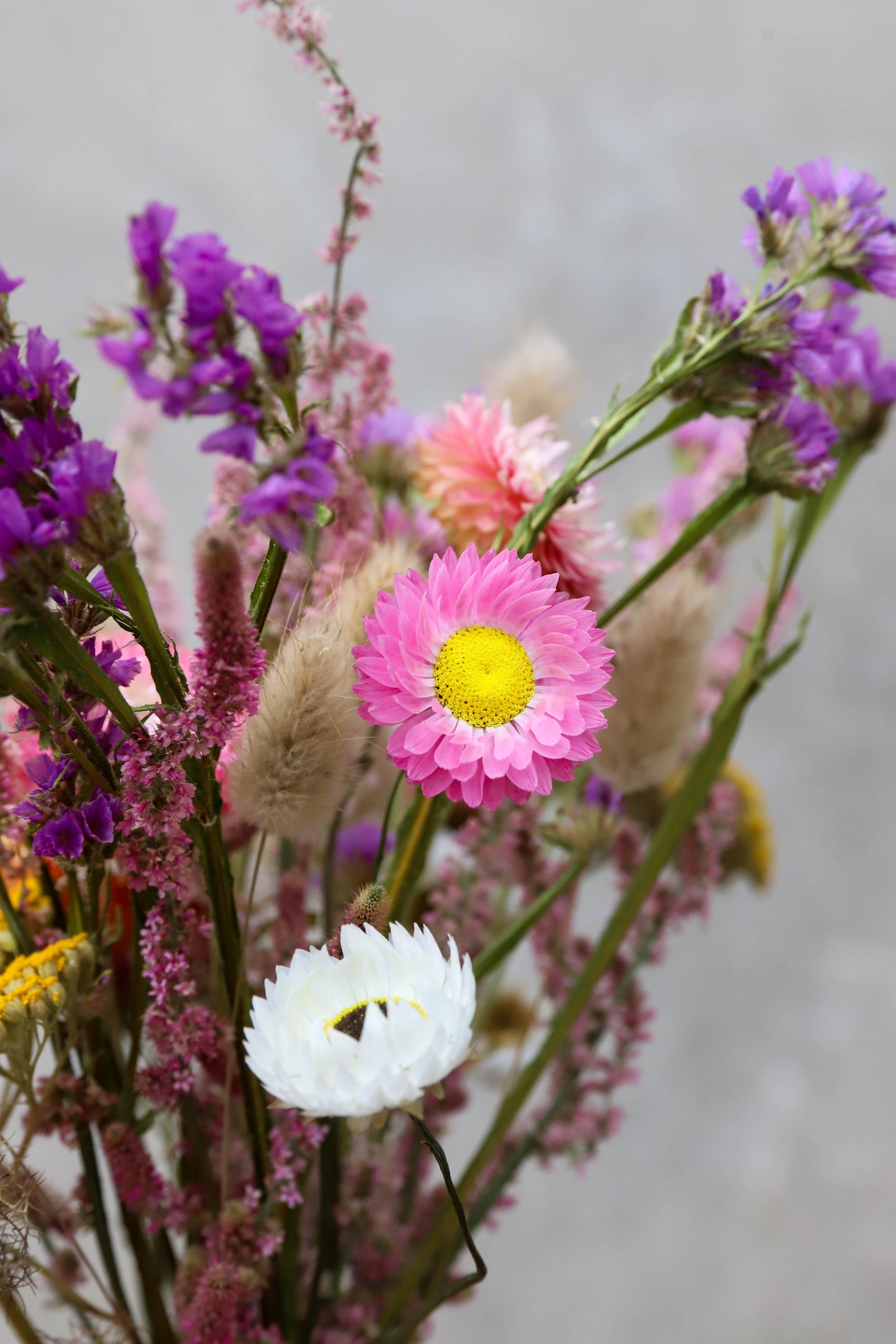 Bouquet de fleurs séchées