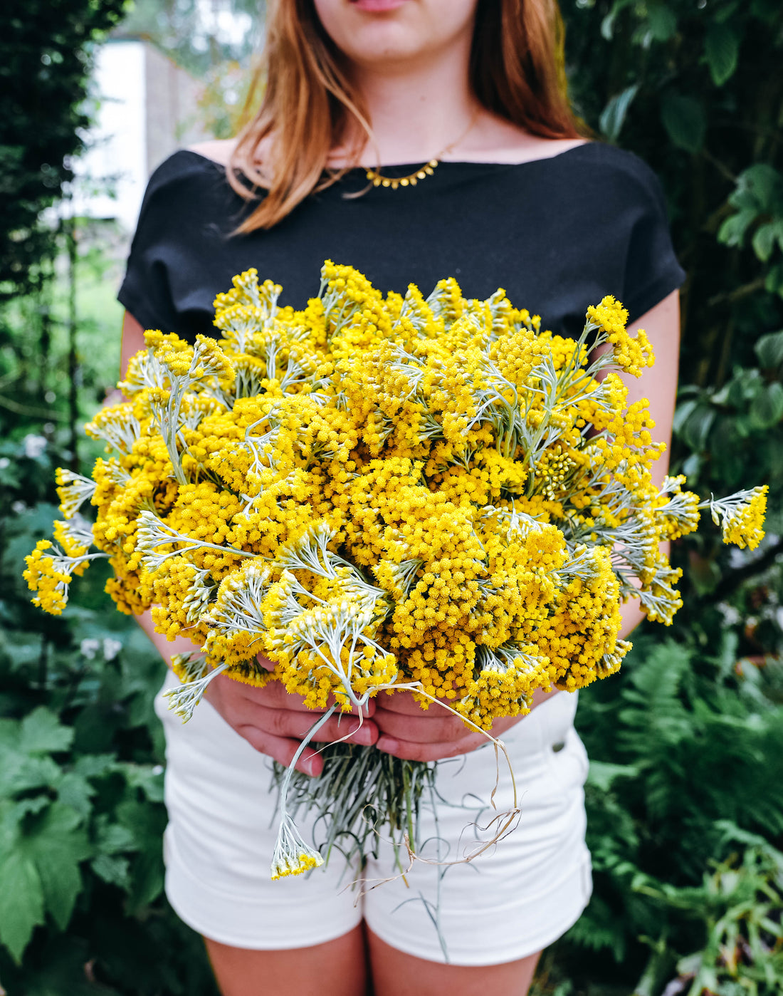 Les fleurs séchées du jardin