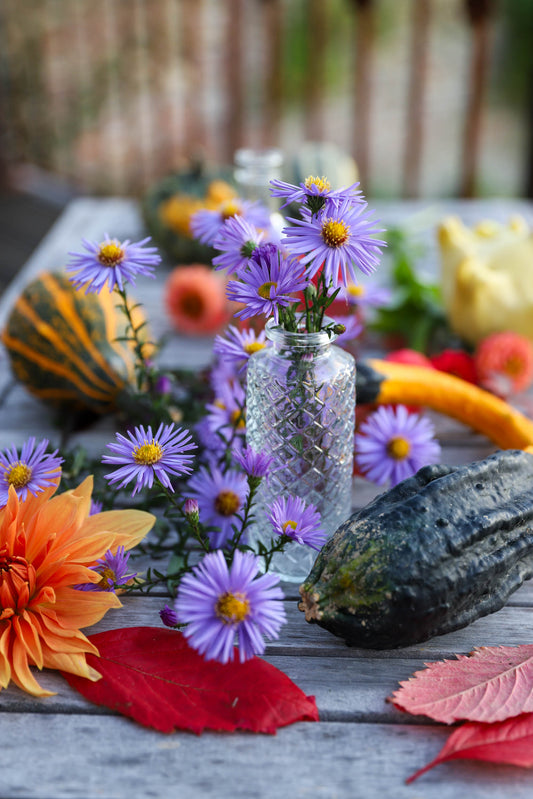 table en bois avec des fleurs d'automne  : des asters mauves, des dahlias oranges et des coloquintes