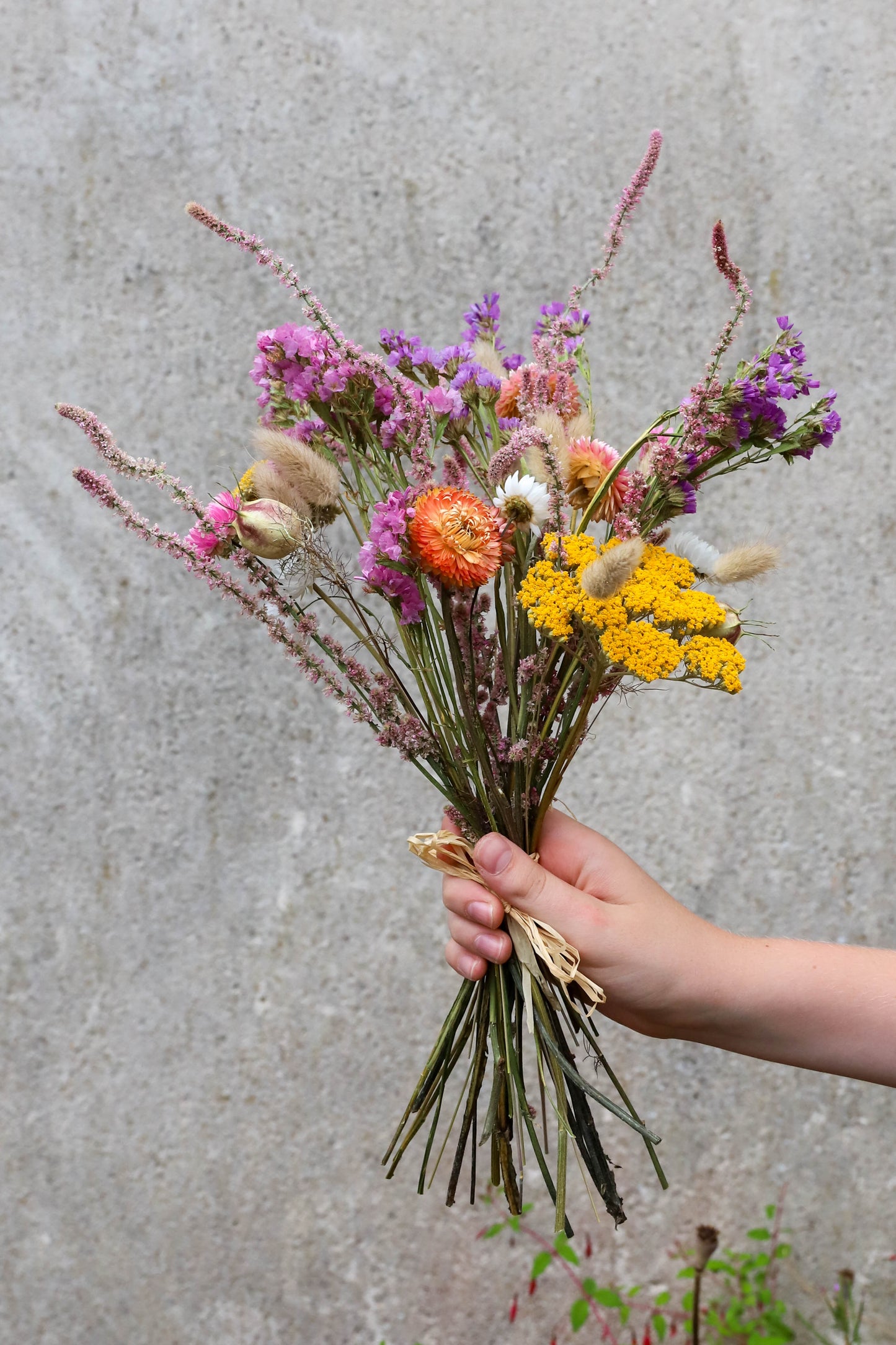 Bouquet de fleurs séchées