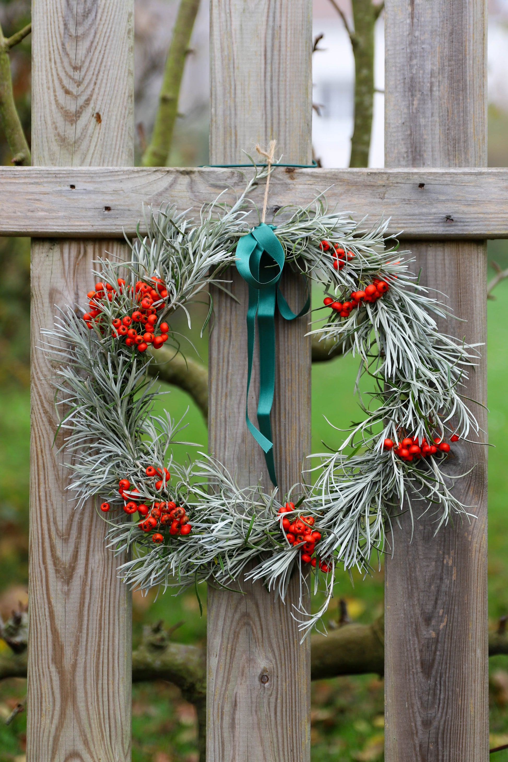 couronne de Noël blanche réalisée avec des baies rouges. La couronne est fraiches, elle a une bonne odeur et les végétaux sont français sans traitement chimique 