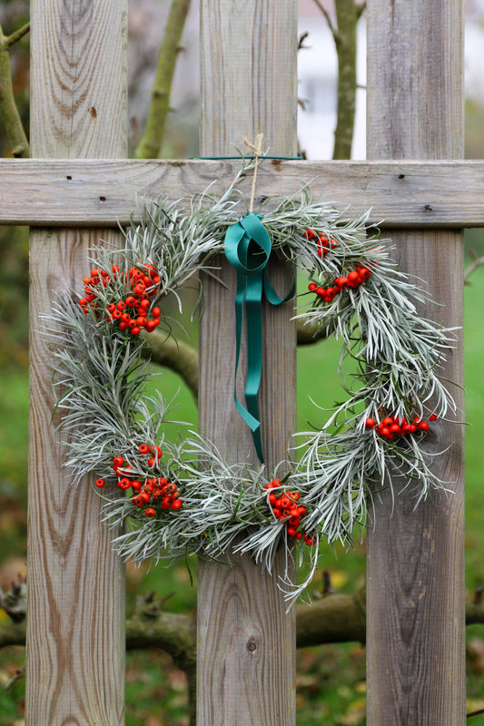 couronne de Noël blanche réalisée avec des baies rouges. La couronne est fraiches, elle a une bonne odeur et les végétaux sont français sans traitement chimique 
