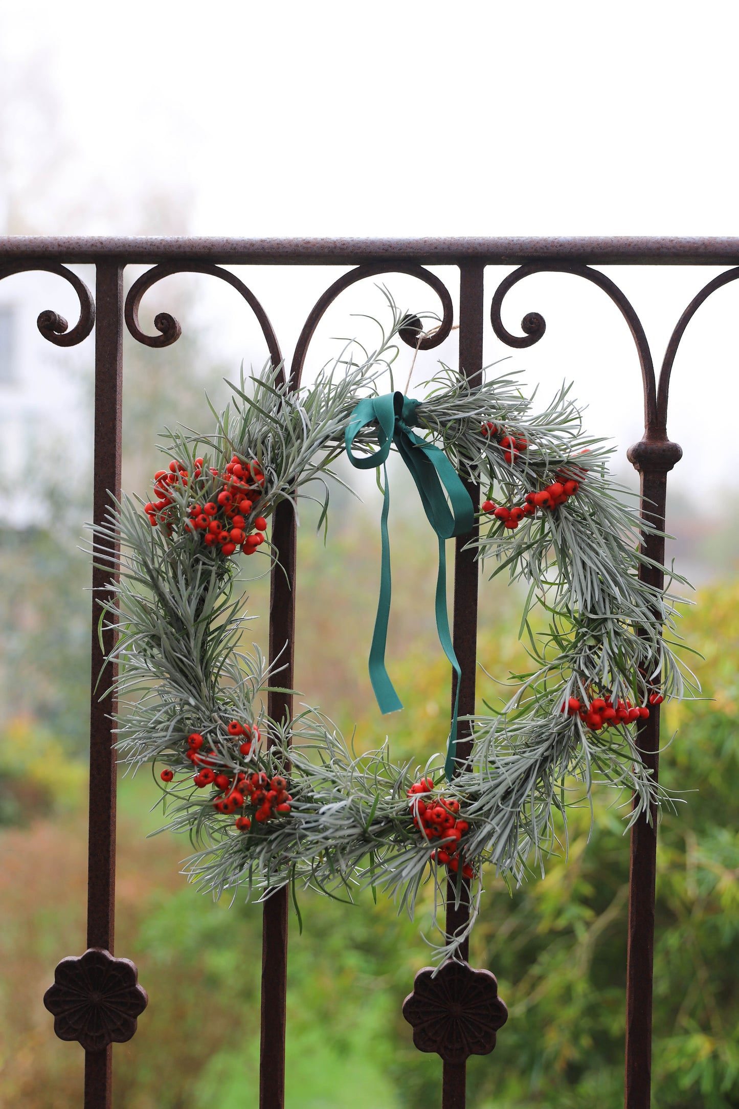 couronne de Noël naturelle française. Elle est blanche avec des baies rouges, elle est suspendue à une grille rouillée qui a du charme