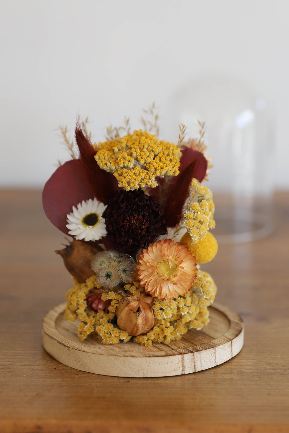 Cloche "Jardin d'automne"