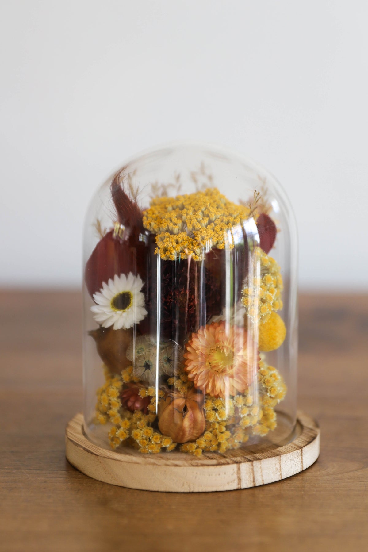 Cloche "Jardin d'automne"