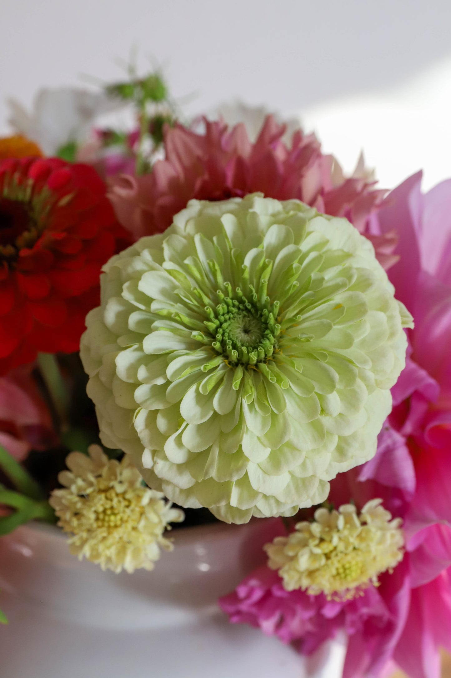 Bouquet de fleurs fraîches